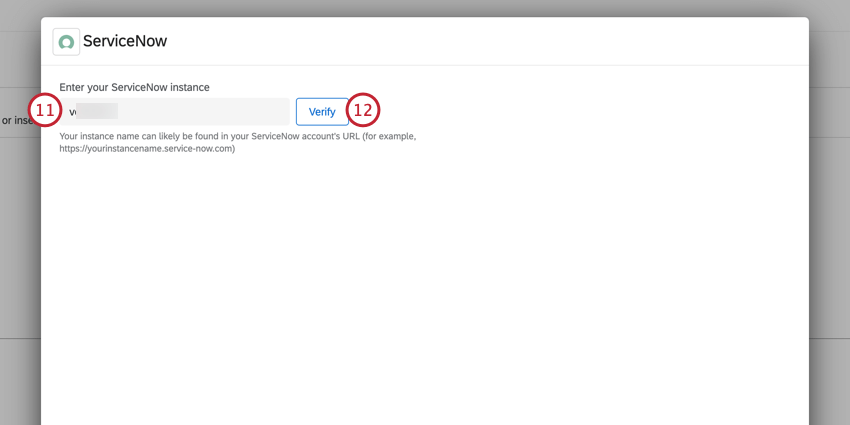 entering the servicenow instance