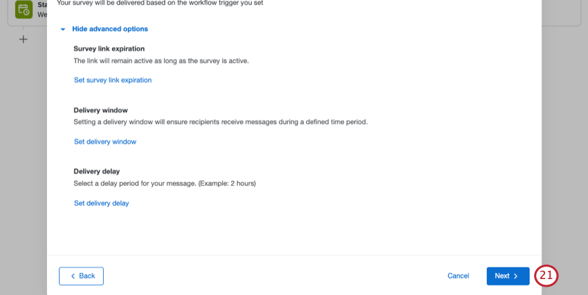 Window showing survey link expiration, delivery window, and delivery delay settings has a next button in the bottom-right