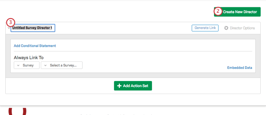 Create New Director button in top-right corner of Survey Director page