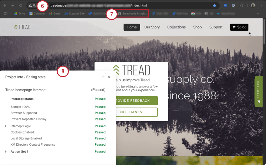 how tests appear in your website on your browser