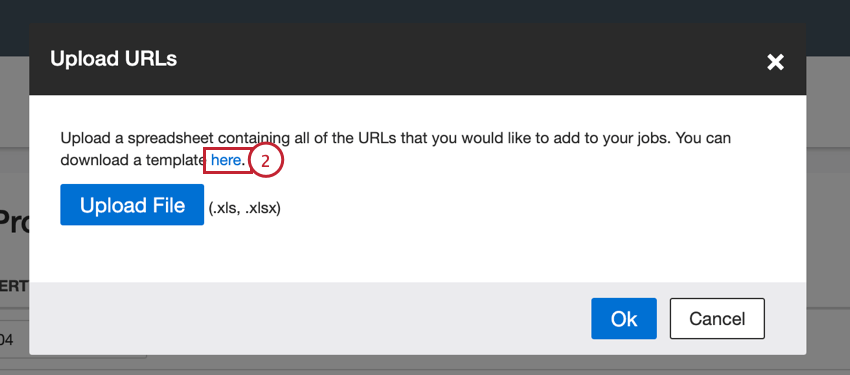 clicking the hyperlinked text to download the template file
