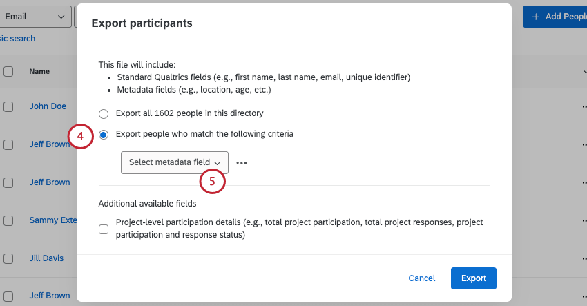 modal where you decide what to export