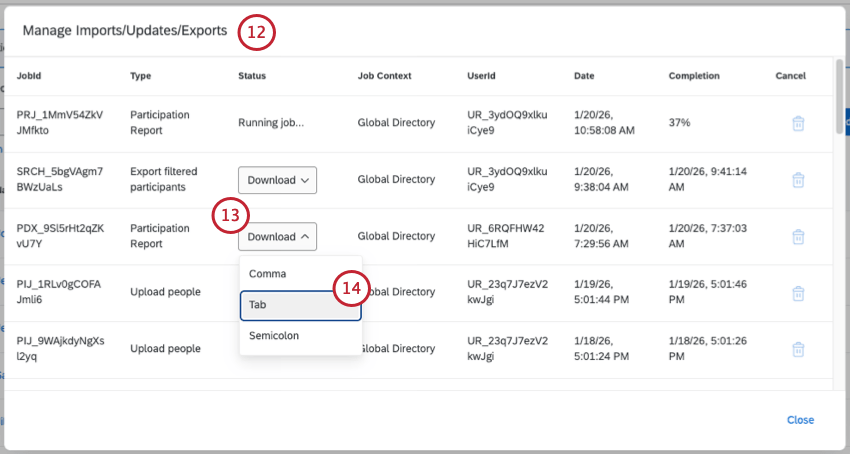 downloading the exported file