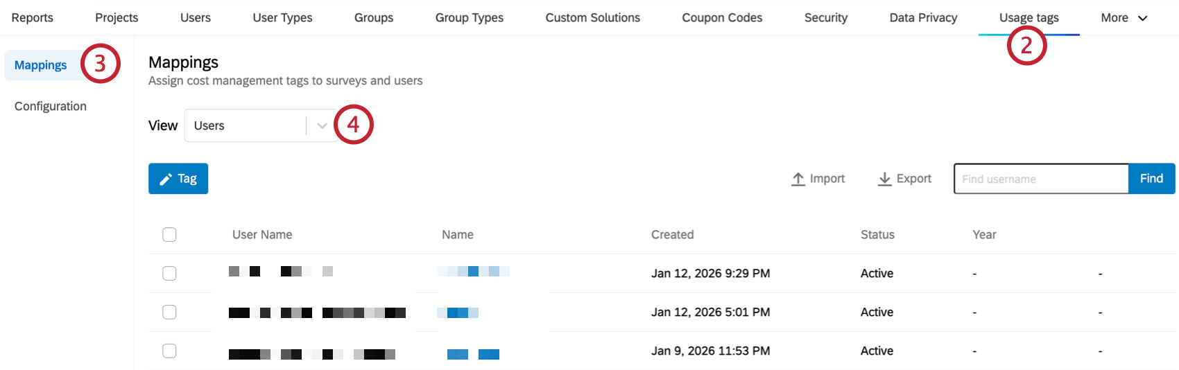 the mappings section of usage tags