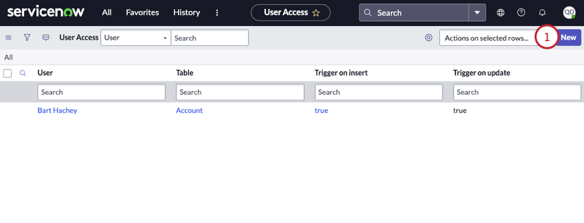 clicking new in the user table access section