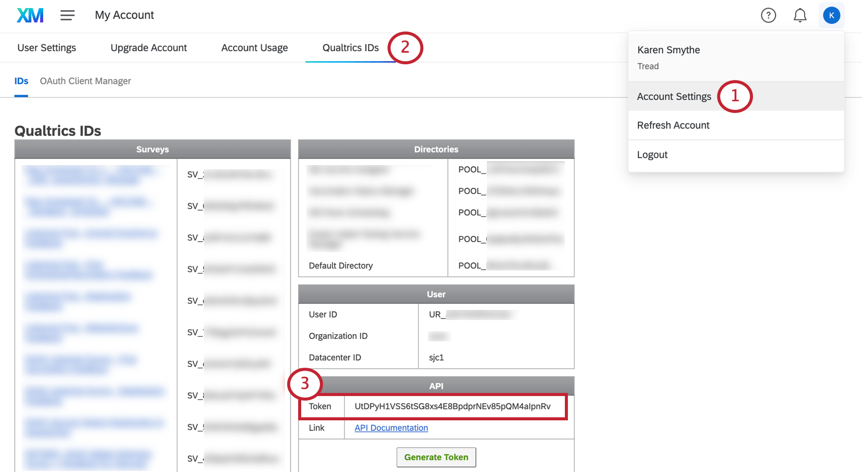 Una imagen de la sección de ID de la configuración de cuenta, con la sección de token de api resaltada
