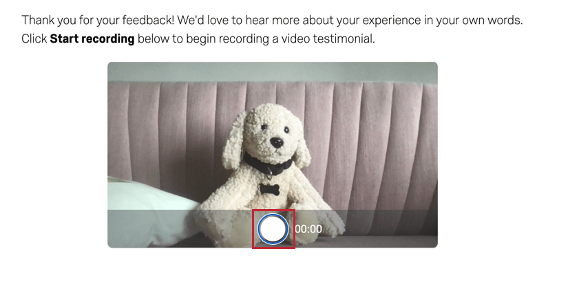 clicking the white record button