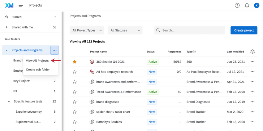 O menu suspenso avançar de projetos e programas é selecionado, revelando duas opções: visualizar todos os projetos e criar subpasta