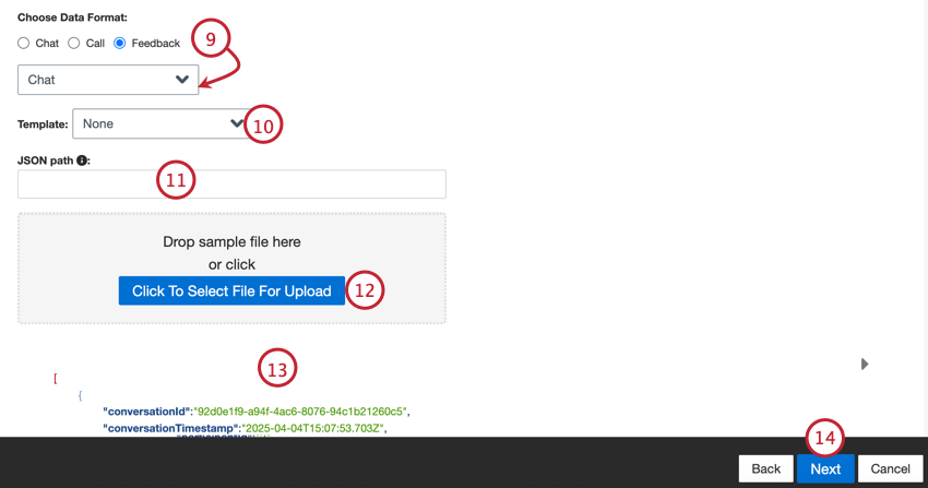 choosing a data format, entering a json path, and uploading a template