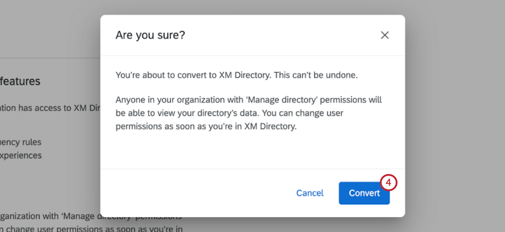 janela pop-up de confirmação para converter para o diretório xm com um botão azul Convert (Converter) no canto inferior direito