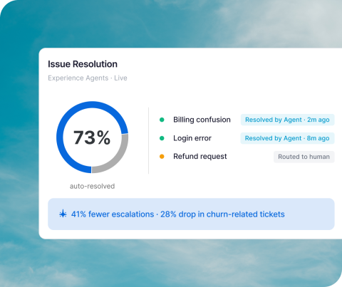 Issue resolution widget