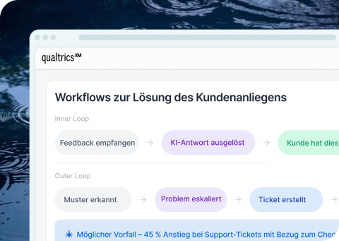 Qualtrics-Dashboard „Workflows zur Lösung des Kundenanliegens" mit Inner Loop und Outer Loop sowie Warnhinweis zu Support-Tickets im Checkout.