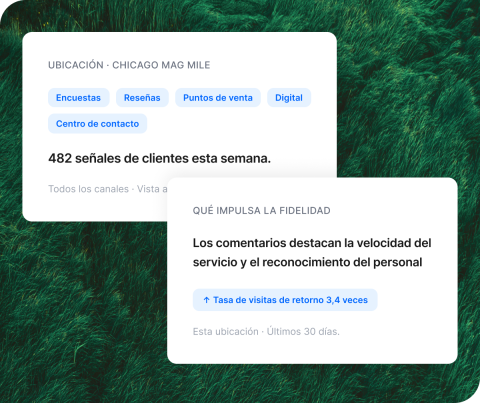 Experiencias conectadas