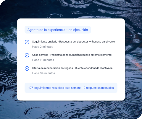 Agentes de la experiencia
