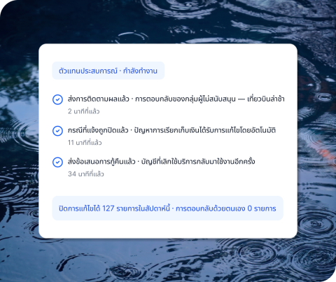 ตัวแทนประสบการณ์