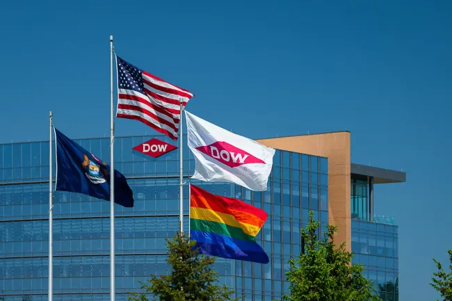 Dow flags