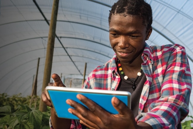 Man using microsoft tablet
