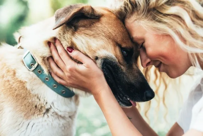 Woman pushing her forehead against a dog's forehead in a loving way