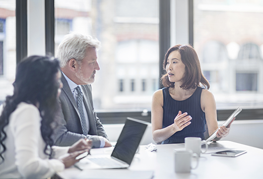 Experience management professionals talking to a senior executive.