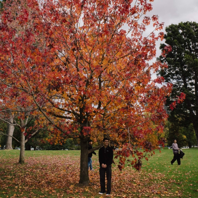 Experience, challenge, and connection - Arvin