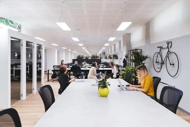People sitting in office