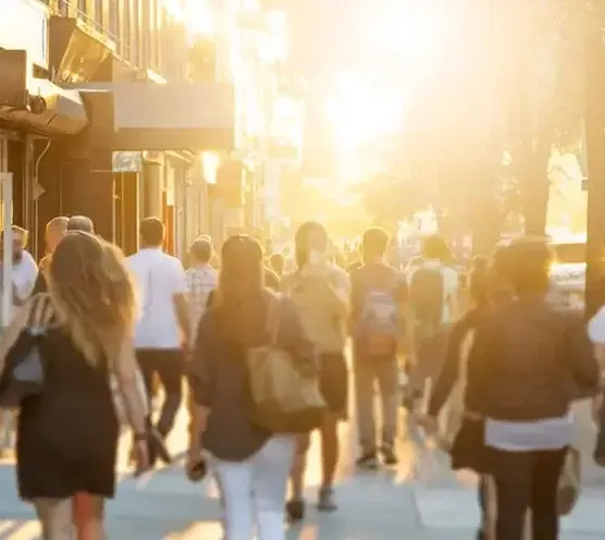 Panel management: How to manage your market research survey panel