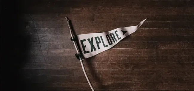 Qualitative vs quantitative