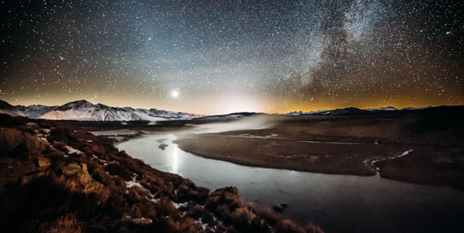 Survey Question Flow Design