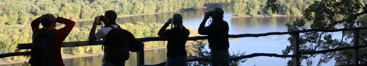 Effigy Mounds