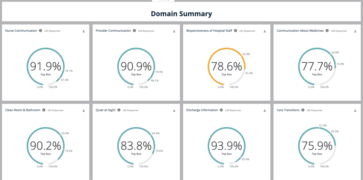 Domain summary dashboard