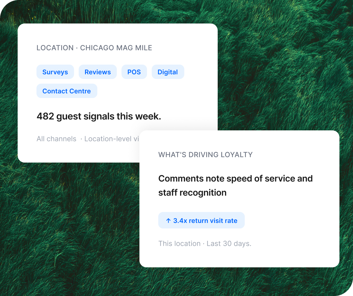 Chicago Mag Mile location: 482 weekly guest signals across five channels; loyalty driver analysis identifies speed of service and staff recognition driving a 3.4x return visit rate.