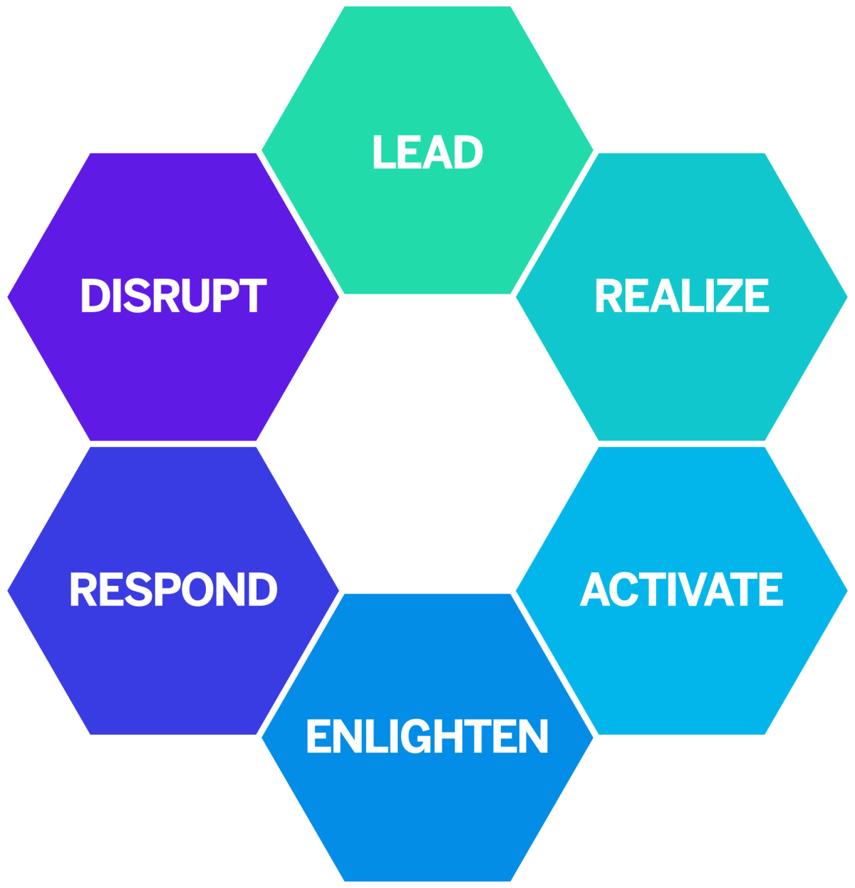 diagram of 6 experience management competencies