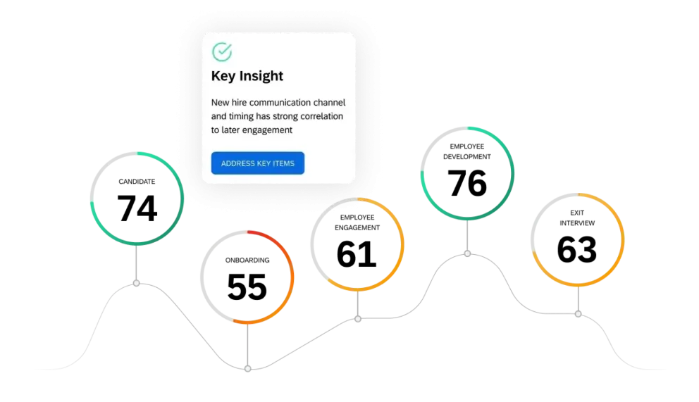 key insights