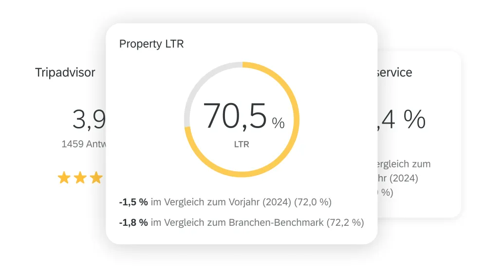 Insights in Echtzeit