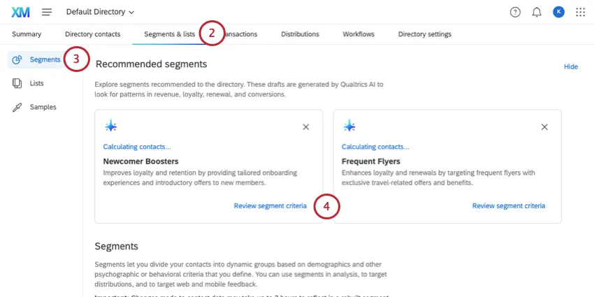 image of segments tab and the recommendations that appear at the top