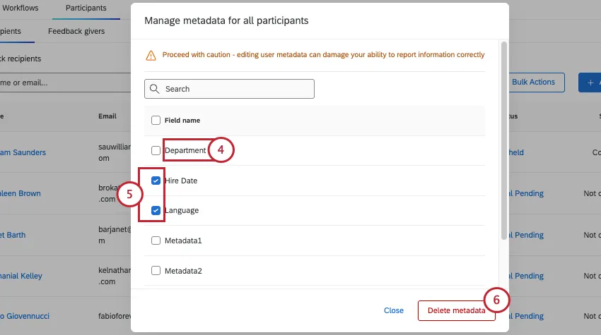 manage metadata window