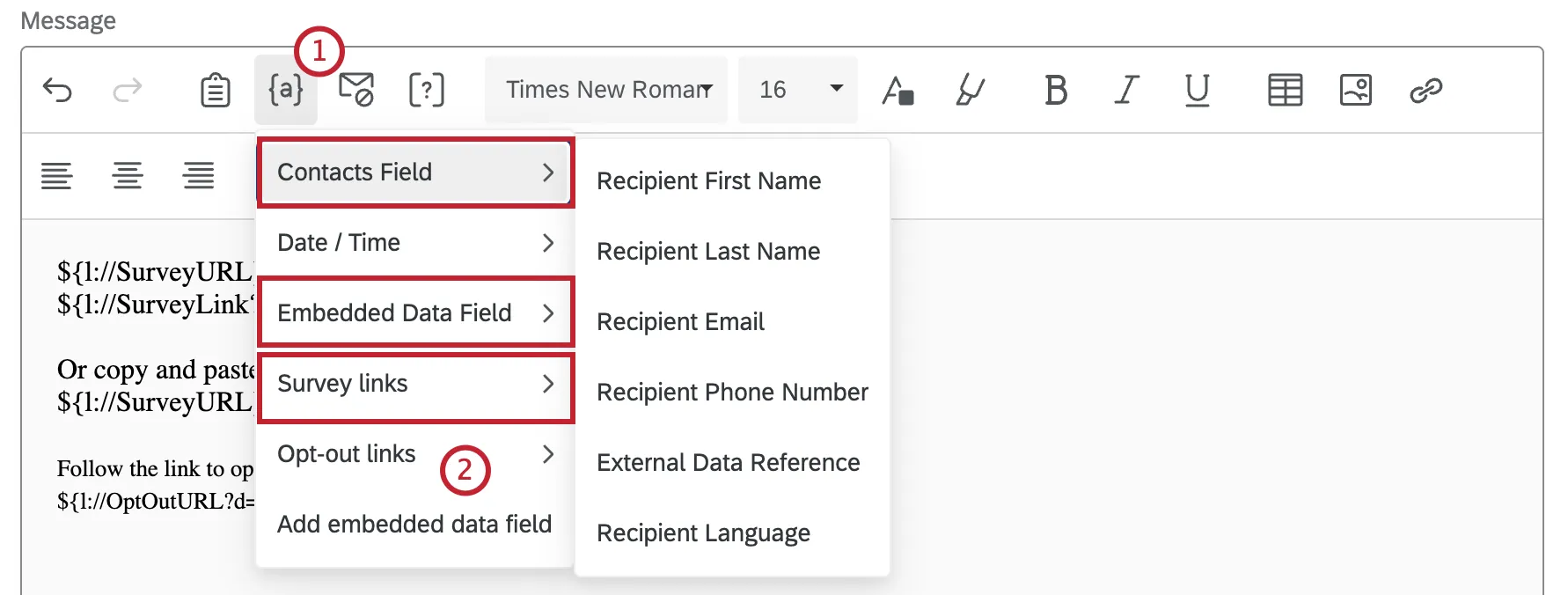 piped text fields that can be inserted into the email editor highlighted