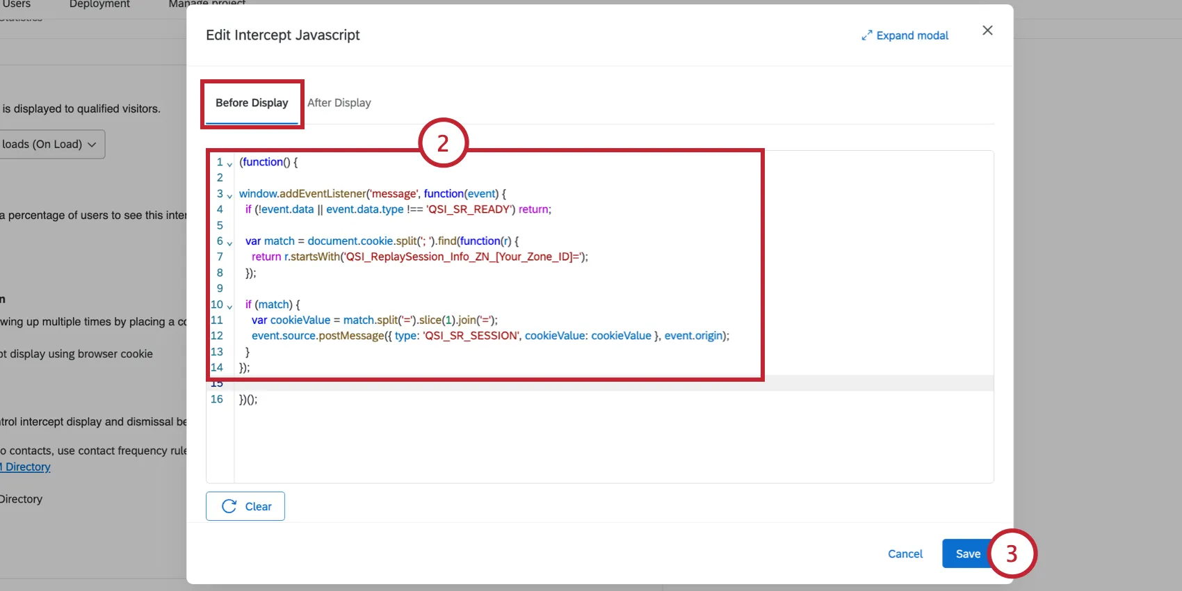 adding javascript to the intercept