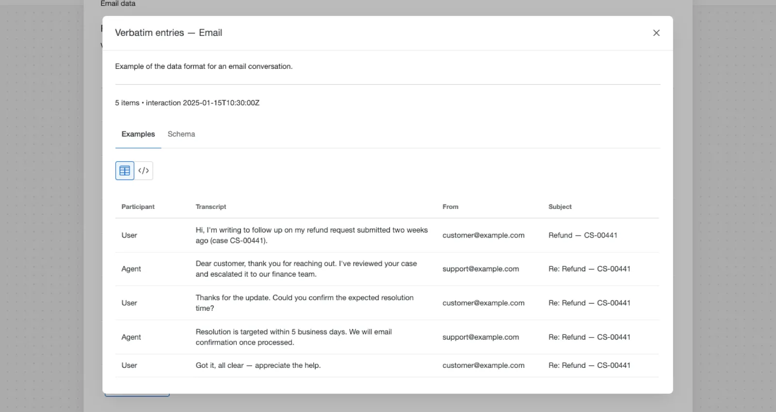 verbatim entries field Example tab is open showing a fake conversation