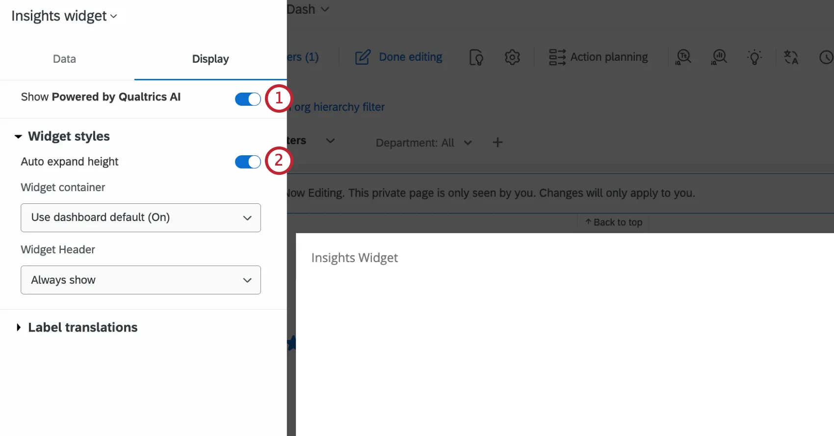 display options for the widget