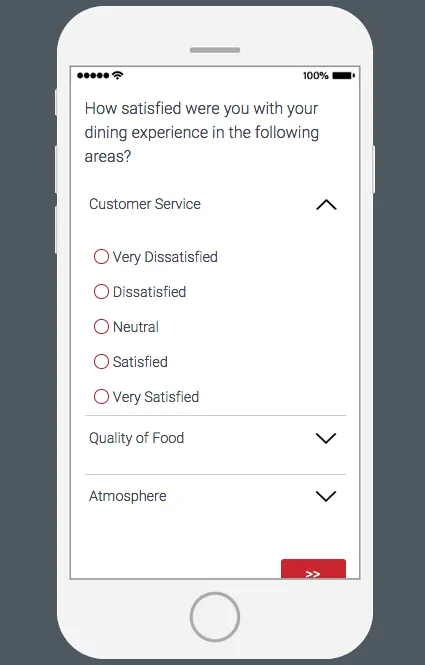 Mobile view where each row is an item and it drops down to reveal the scale points that can be assigned