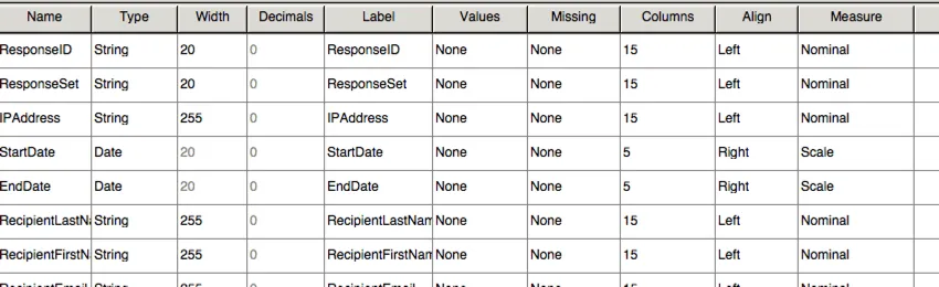 SPSS file set to Variable View