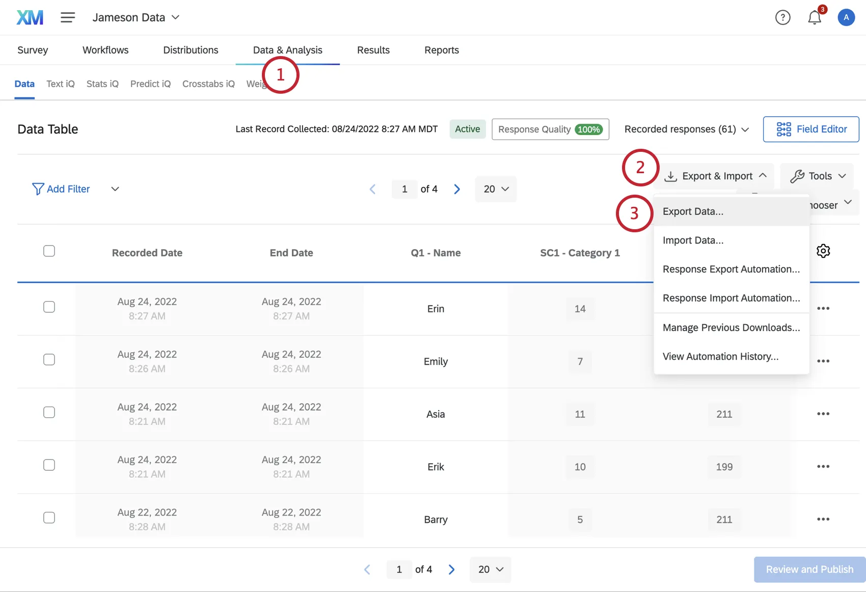 Navegar hasta datos y análisis, hacer clic en exportar e importar y seleccionar exportar datos