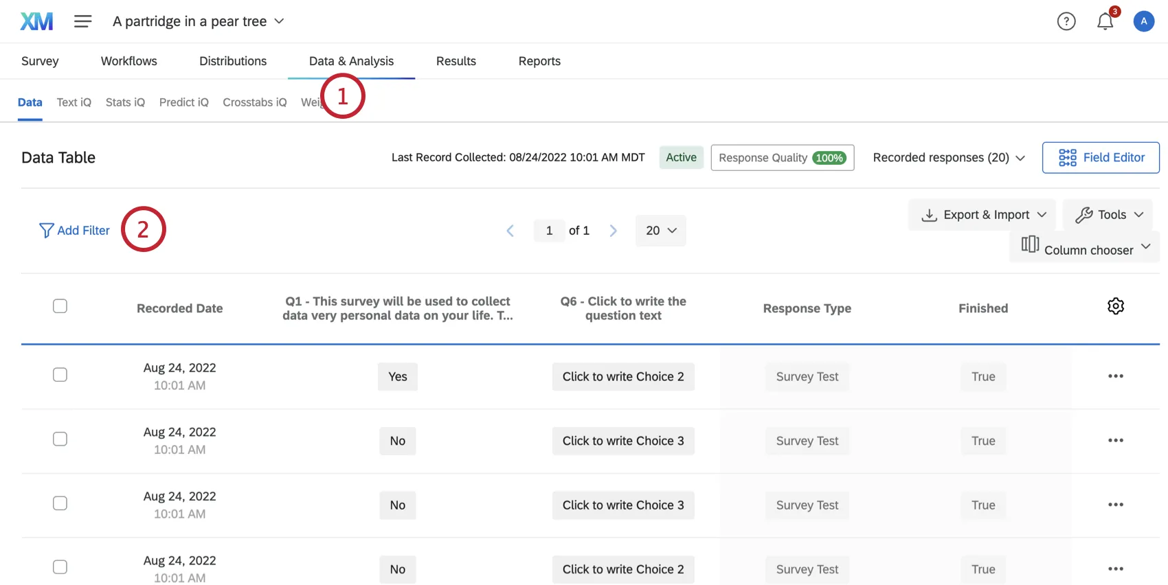 Add filter button on Data and Analysis tab