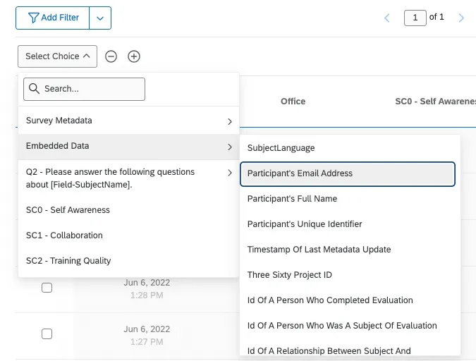 Options de filtre dans longlet Données