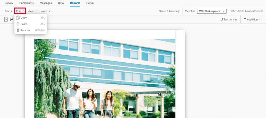 the edit menu in the report toolbar