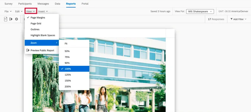 the view menu in the report toolbar