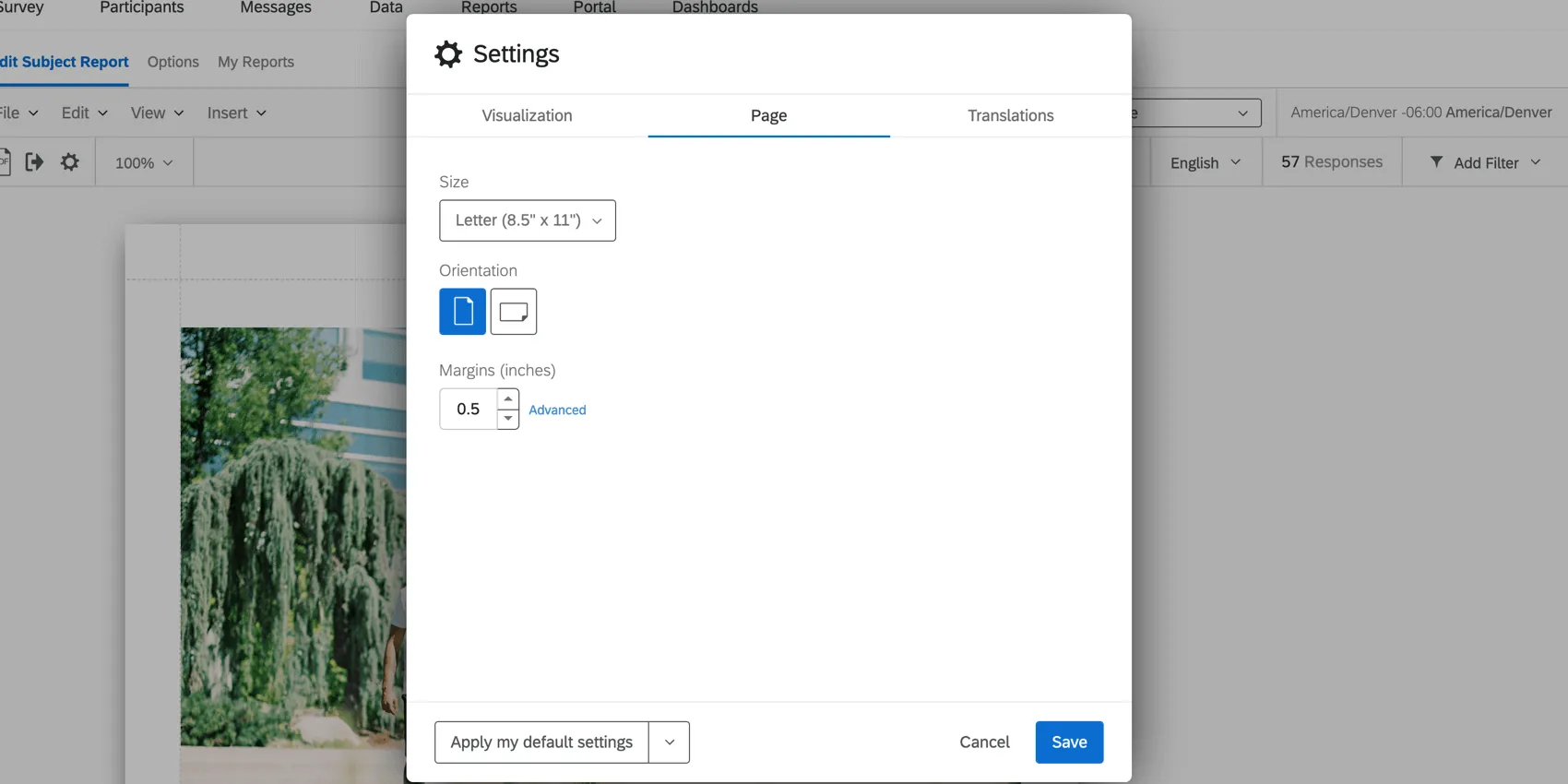 page tab of the setting window