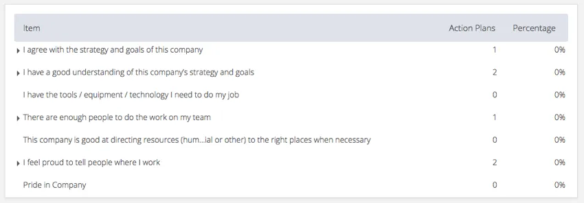 An example of an Action Plan Item Summary widget
