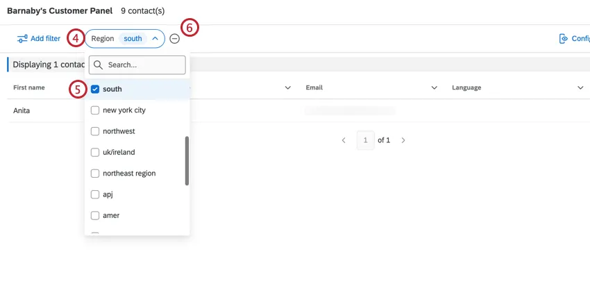 Opzioni di filtro a discesa